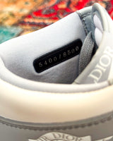 Dior x Air Jordan 1 High CN8607-002 “AIR DIOR”
